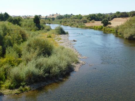 [Picture of Tuolumne River downstream from bridge]